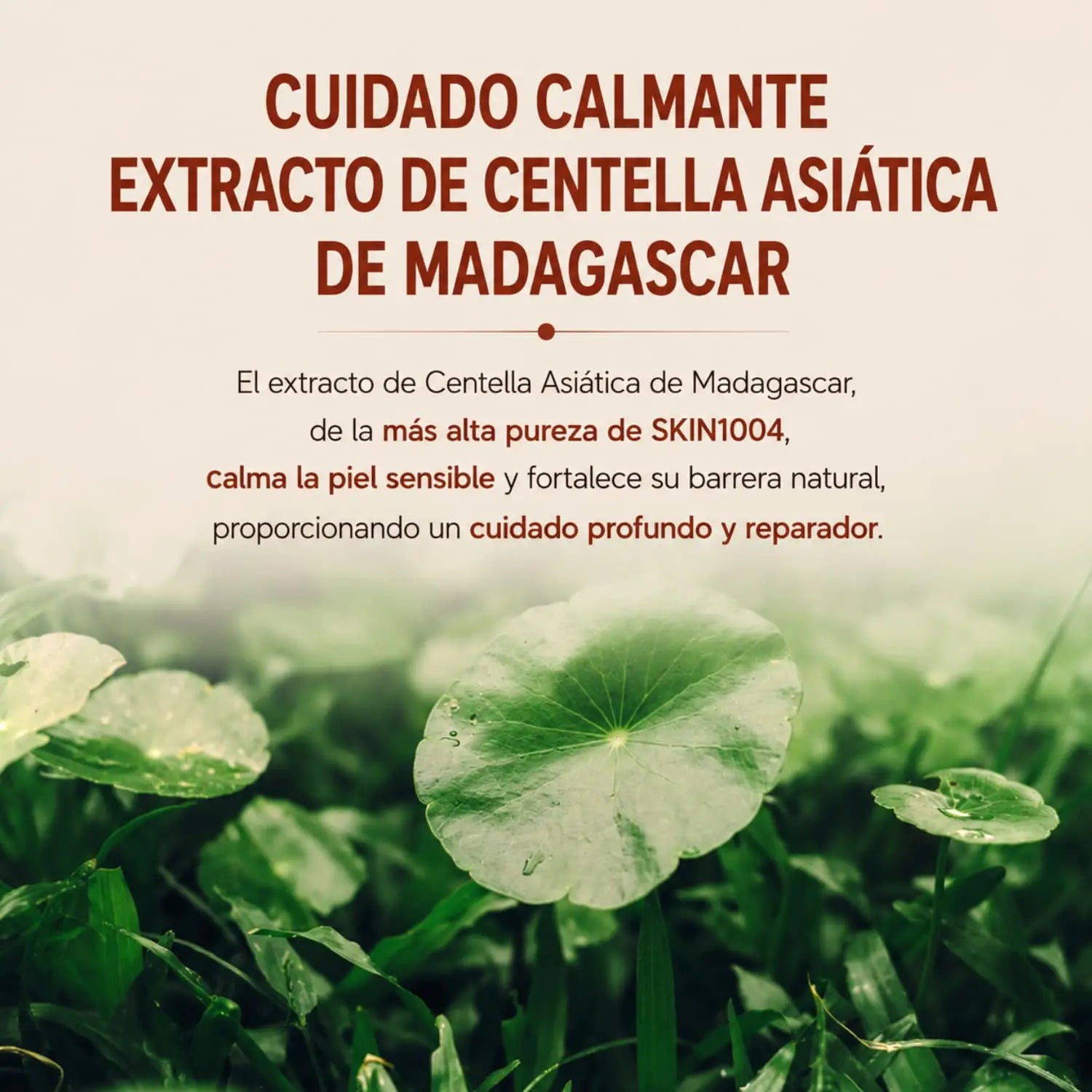 [SKIN1004] Madagascar Centella Poremizing Deep Cleansing Foam 125ml SKIN1004