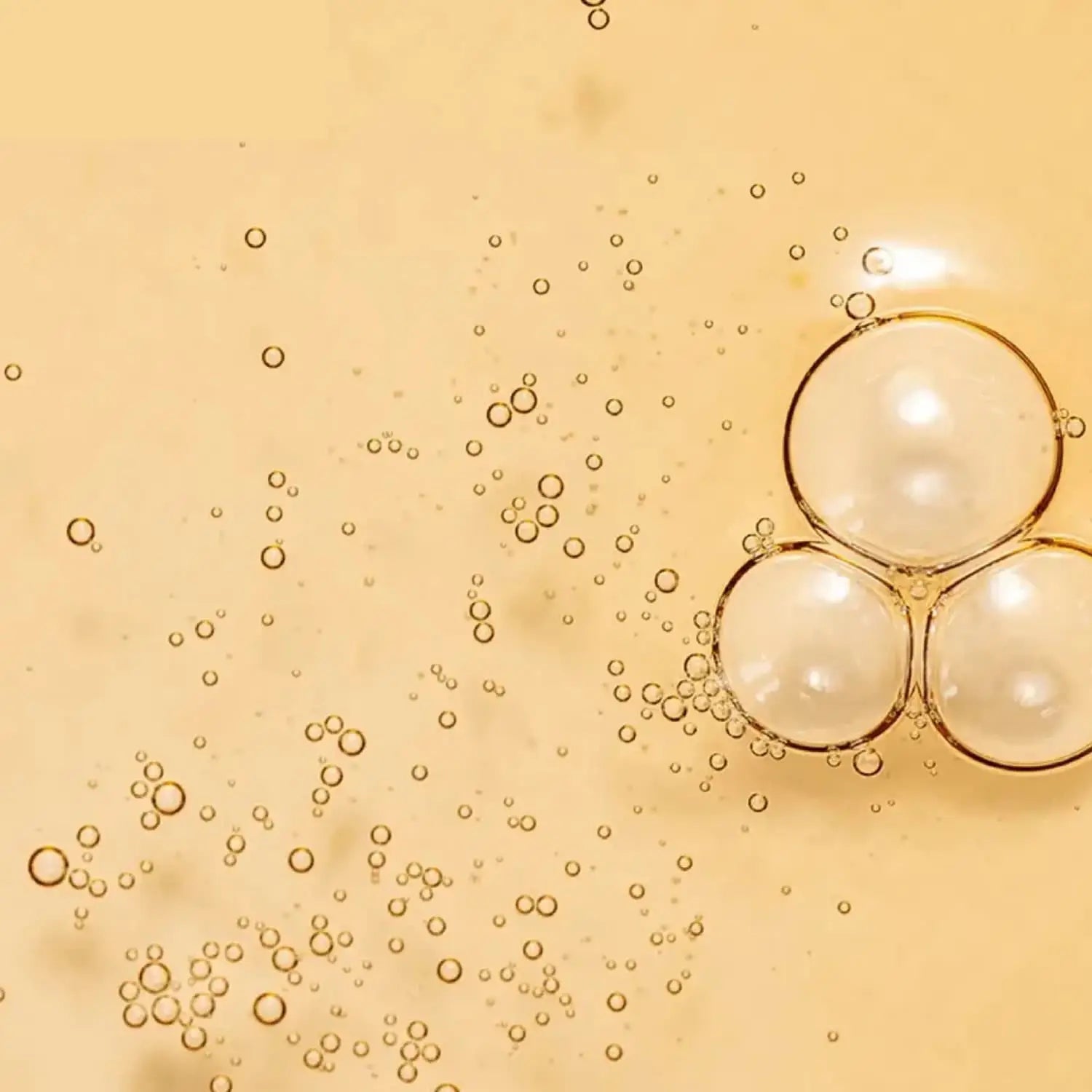 [BEAUTY OF JOSEON] Ginseng Essence Water 40ml de Beauty of Joseon | Skincare disponible en kosmic