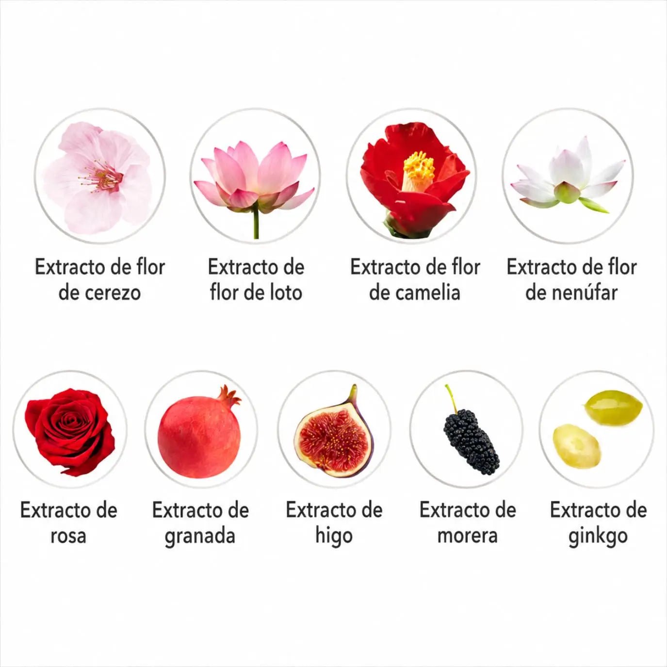 Elizavecca CER-100 Collagen Hair + Muscle Spray 200ml de Elizavecca | Cuidado del Cabello disponible en kosmic