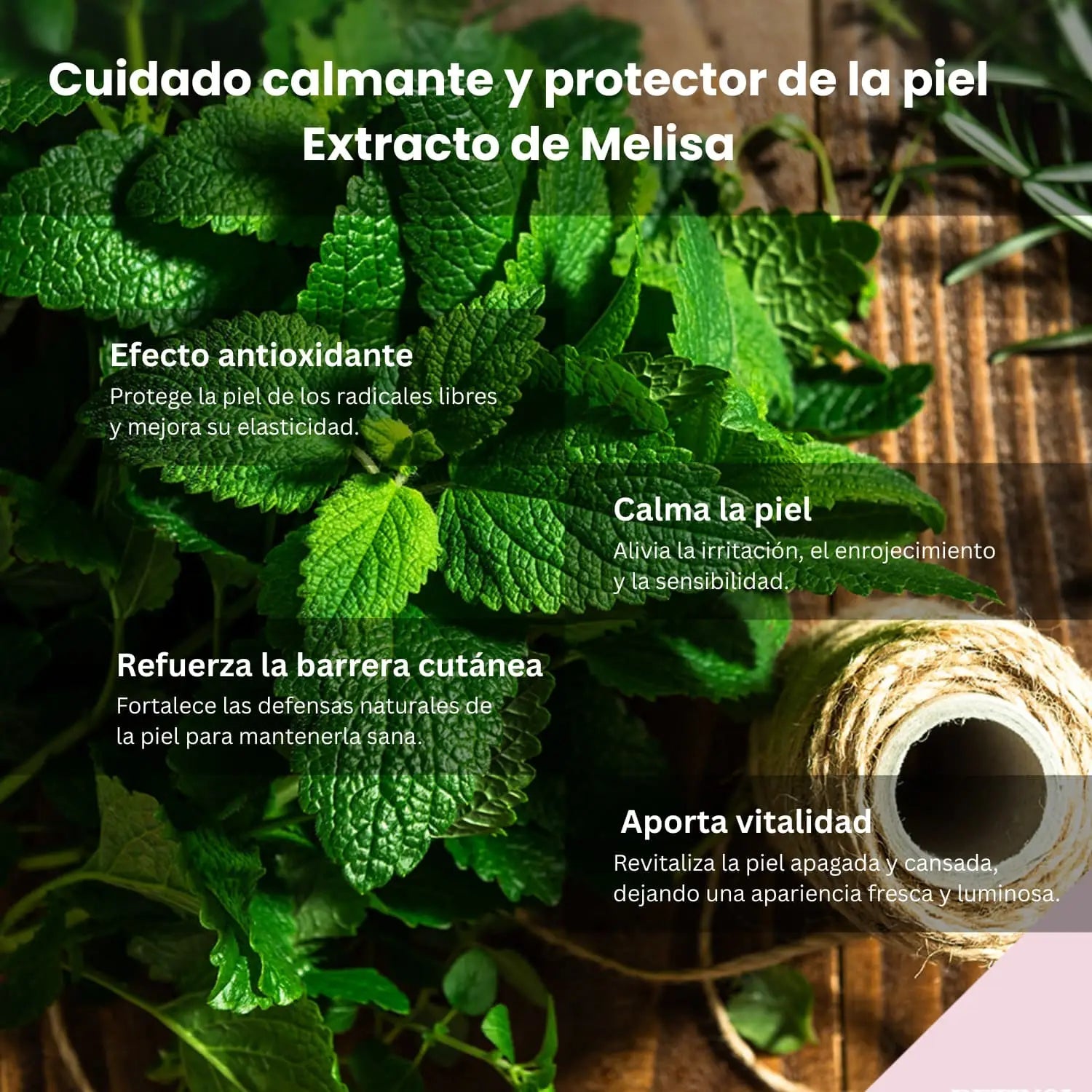 GongSkin Retinol Firming Ampoule - 10ml de GongSkin | Skincare disponible en kosmic