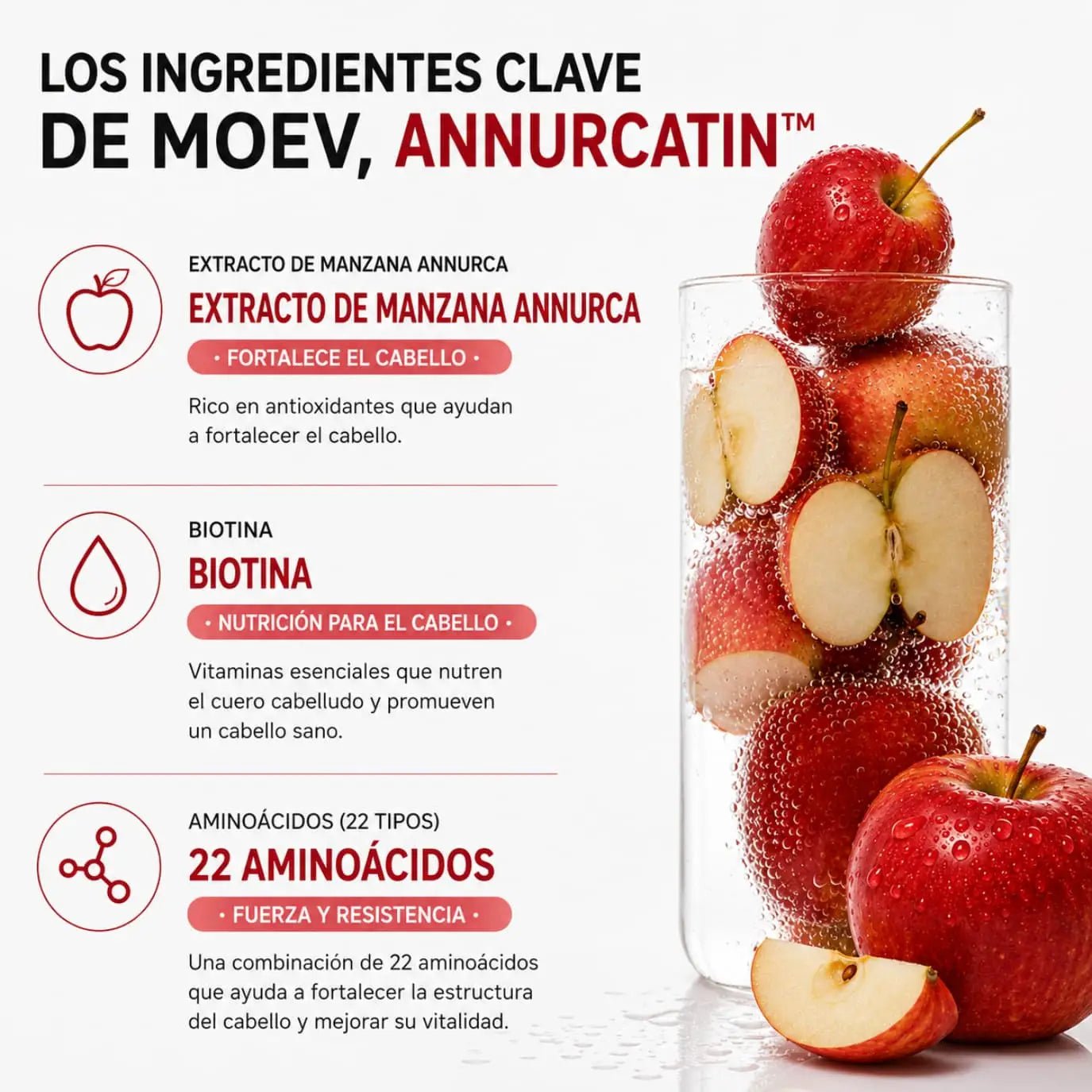 MOEV Annurcatin Shampoo 525ml de moev | Cuidado del Cabello disponible en kosmic